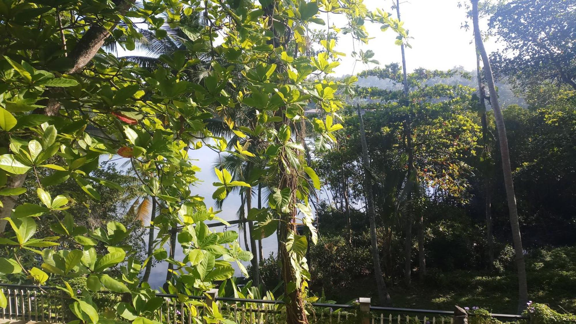 Villa Birdlake Hikkaduwa Exterior photo